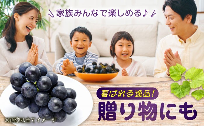 沼隈ぶどう「ピオーネ」 約2kg×2 8〜10房（種なし）