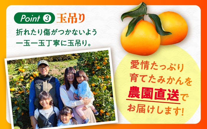 せとか みかん 約2.5kg 果物 化粧箱入り フルーツ ミカン 蜜柑 柑橘 かんきつ くだもの 旬 ギフト