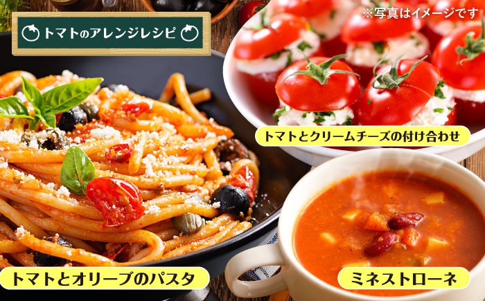 ミニ トマト 訳あり 3kg