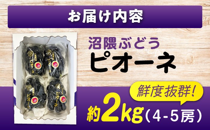 食べやすい種無しピオーネ 果物 ぶどう ブドウ 葡萄 ピオーネ 大粒 2kg 
