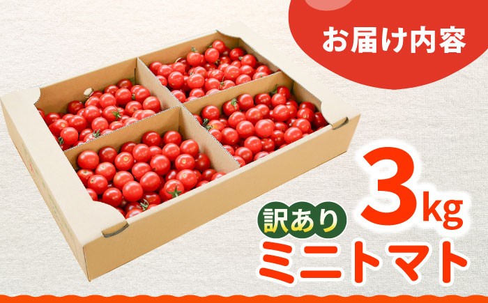 ミニ トマト 訳あり 3kg
