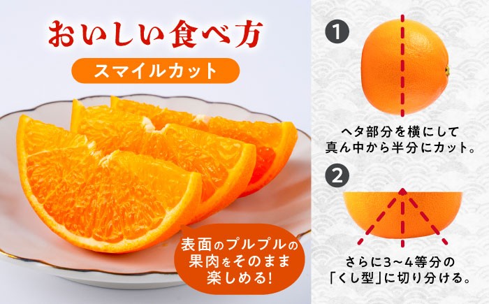 せとか みかん 約2.5kg 果物 化粧箱入り フルーツ ミカン 蜜柑 柑橘 かんきつ くだもの 旬 ギフト