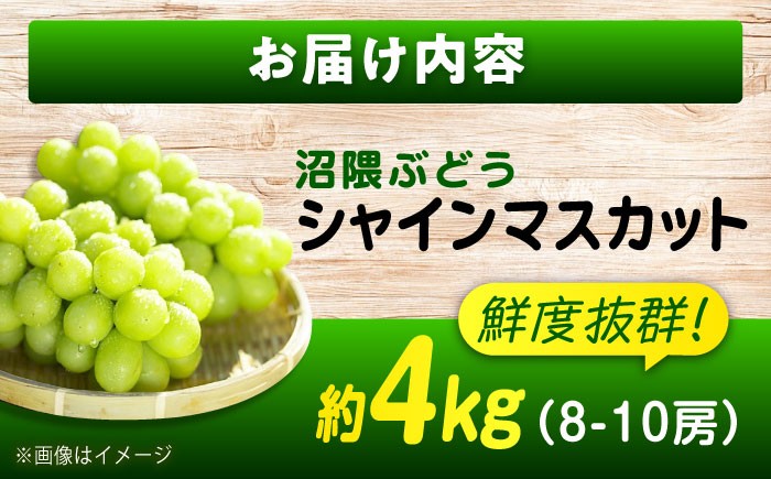 果物 フルーツ デザート 旬 期間限定 シャインマスカット マスカット 大粒