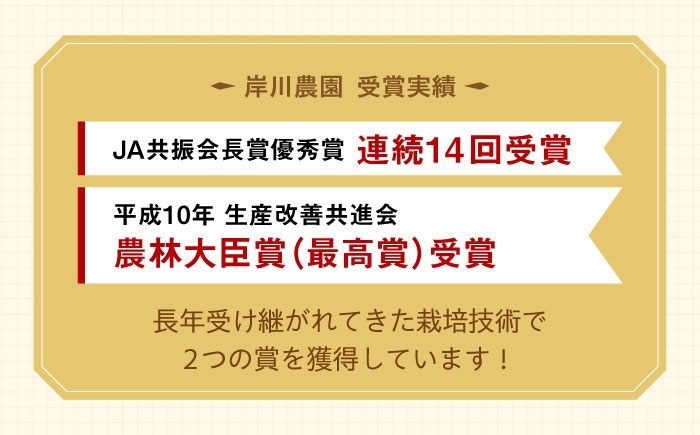 大好評のさがほのかを化粧箱で！