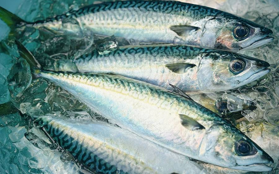 伊勢志摩安乗産 天然 鯖の燻製 半身 30℃以下でじっくり燻した極上の冷燻製