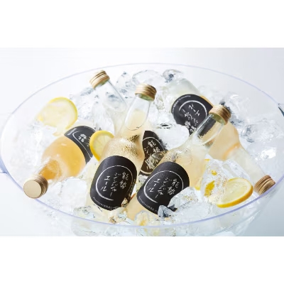 《お酒にも大人な味わい》 能勢ジンジャーエール 250ml × 24本 | 能勢酒造株式会社