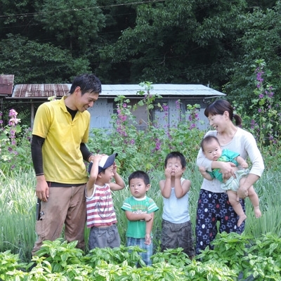 【能勢特産】自然豊かな里山の恵みがつまった農家の手づくり ジャム・ピクルス・ハーブティーのセットB | べじたぶるぱーく株式会社