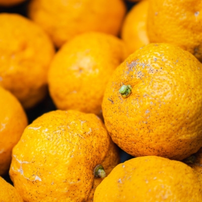 【能勢特産】栽培期間中農薬不使用。 豊かな香りと味わい ゆずシロップ 3本セット | べじたぶるぱーく株式会社