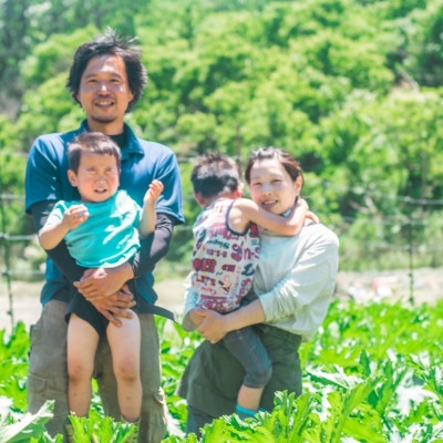 【能勢特産】《農家手づくり》便利な刻みピクルス 旬野菜のタルタルミックスピクルス 4本セット | べじたぶるぱーく株式会社