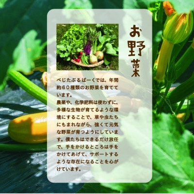 【能勢特産】《農家直送》  べじたぶるぱーくの旬の新鮮野菜詰合せ Lセット (10種類) | べじたぶるぱーく株式会社
