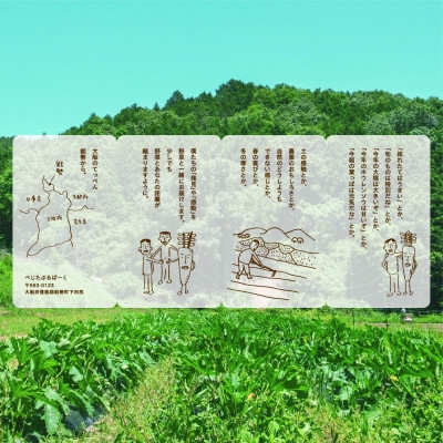 【能勢特産】《農家直送》 べじたぶるぱーくの旬の新鮮野菜詰合せ Mセット (7〜8種類) | べじたぶるぱーく株式会社