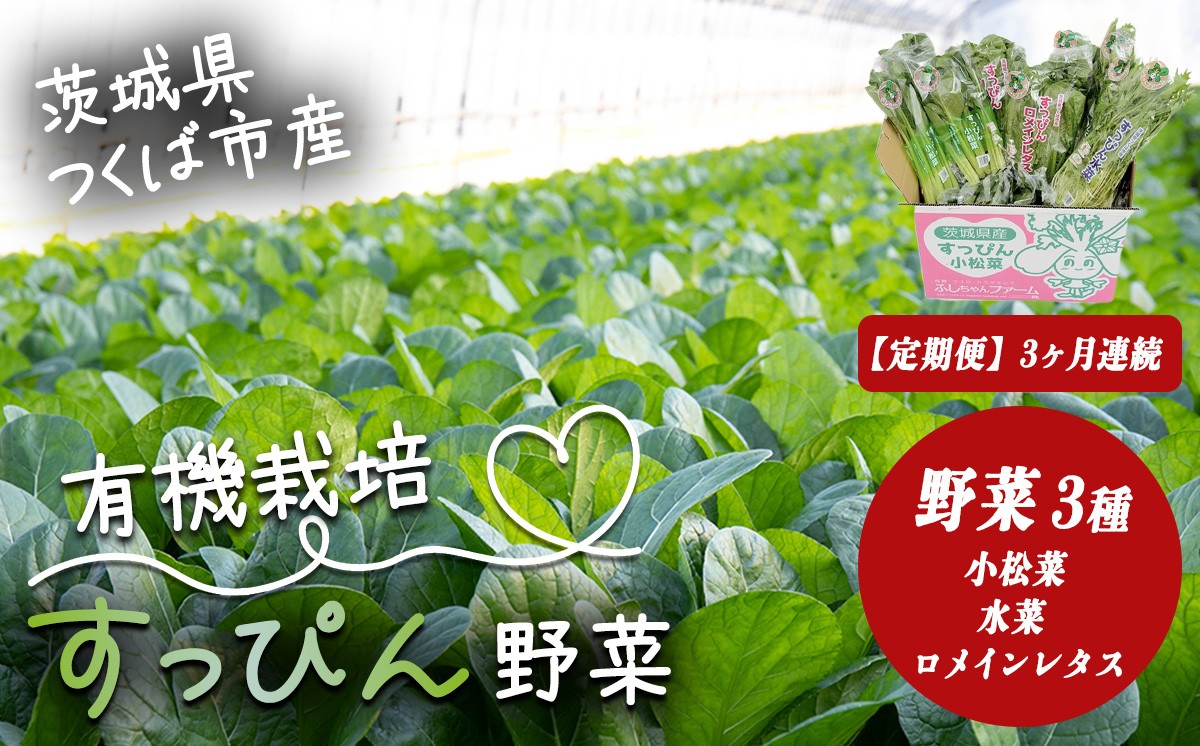 完全無農薬で有機栽培された、小松菜・ロメインレタス・水菜のセットです。