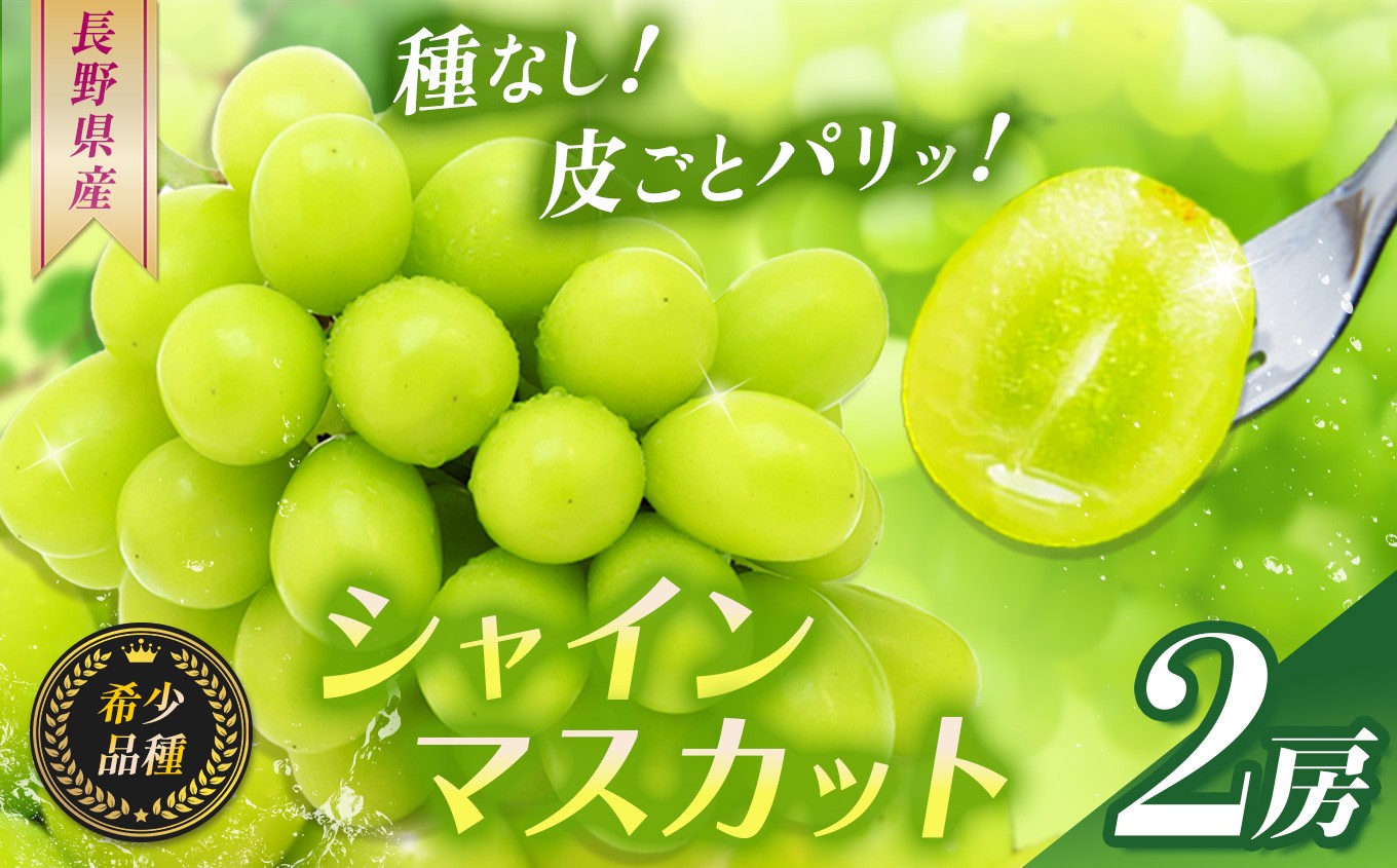 レビュー高評価★信頼の事業者！長野県産シャインマスカット