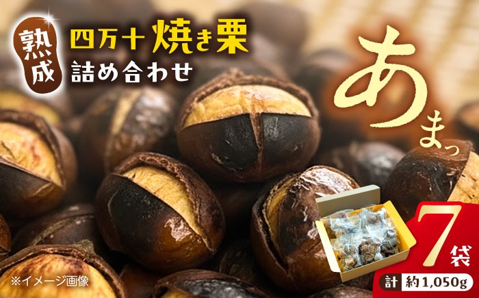 栗 くり クリ 焼き栗 熟成 秋の味覚 秋 詰め合わせ 高知 四万十 和栗カフェ いちじゃもの