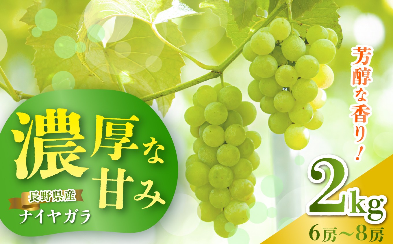 数量限定‼秋だけの贅沢“こく旨”ナイヤガラ
