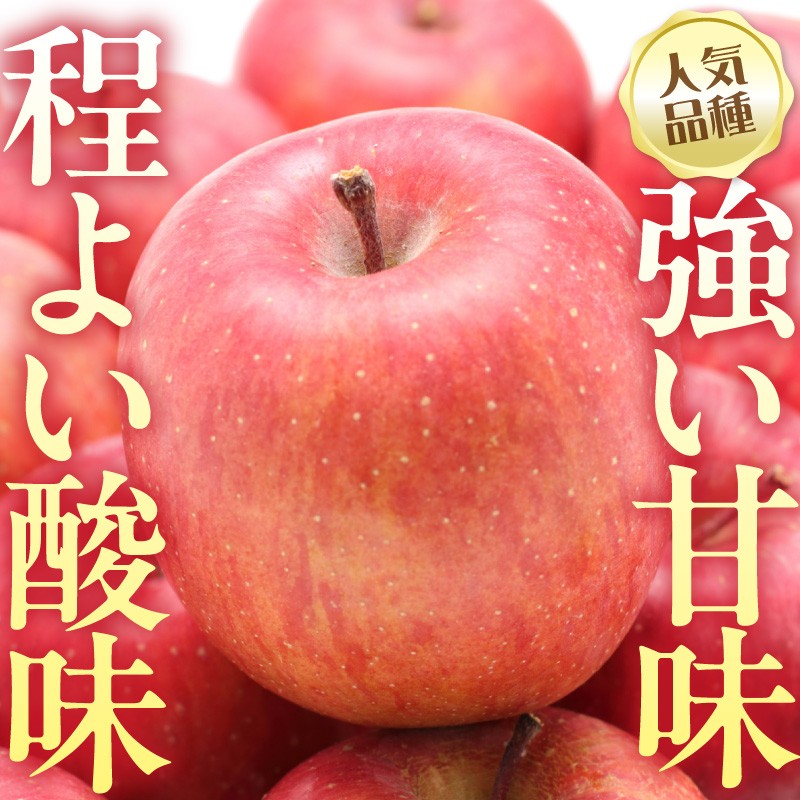 ※写真はイメージです