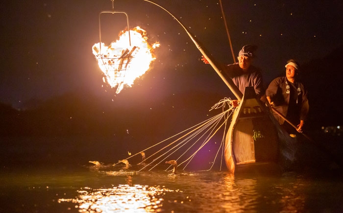岐阜 観光 旅行 チケット 鵜飼い 鮎 日本遺産 重要無形民俗文化財 遊覧船