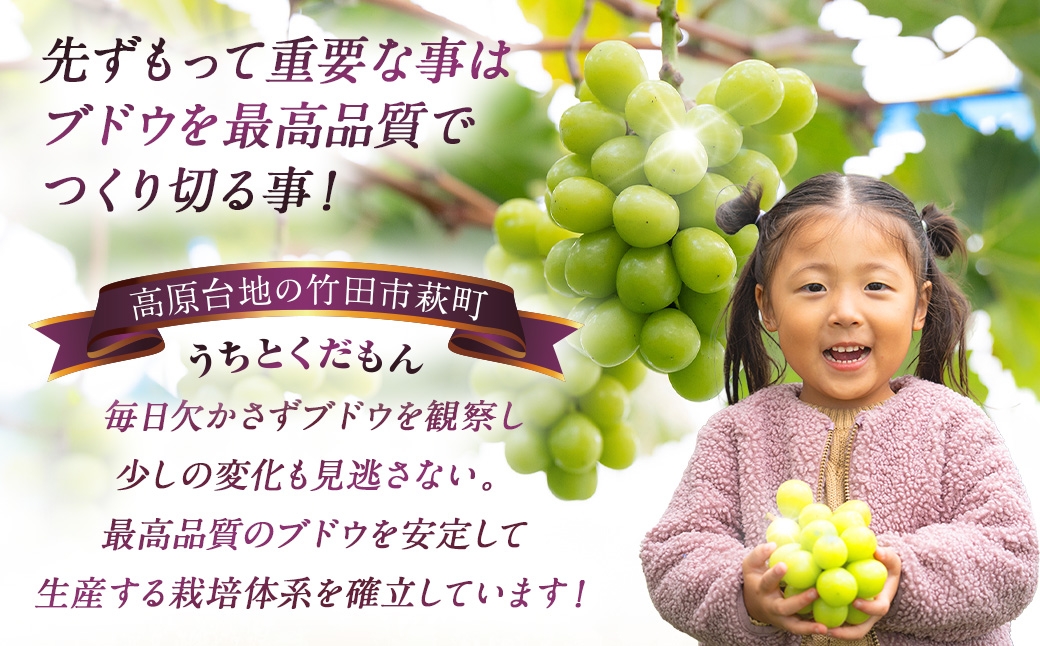 うちとくだもん のこだわりぶどう 4種食べ比べセット