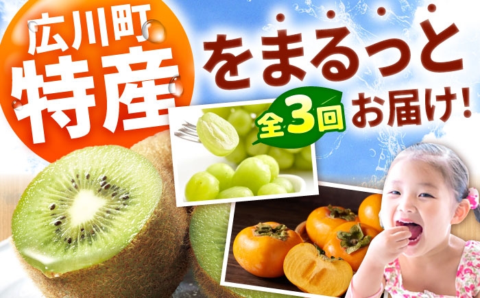 フルーツ 果物 くだもの シャインマスカット 柿 かき キウイ 定期便 旬