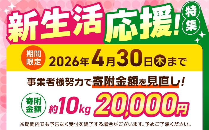 くまさんの輝き 白米 10kg (1袋)  米 お米 白米 お米 10キロ