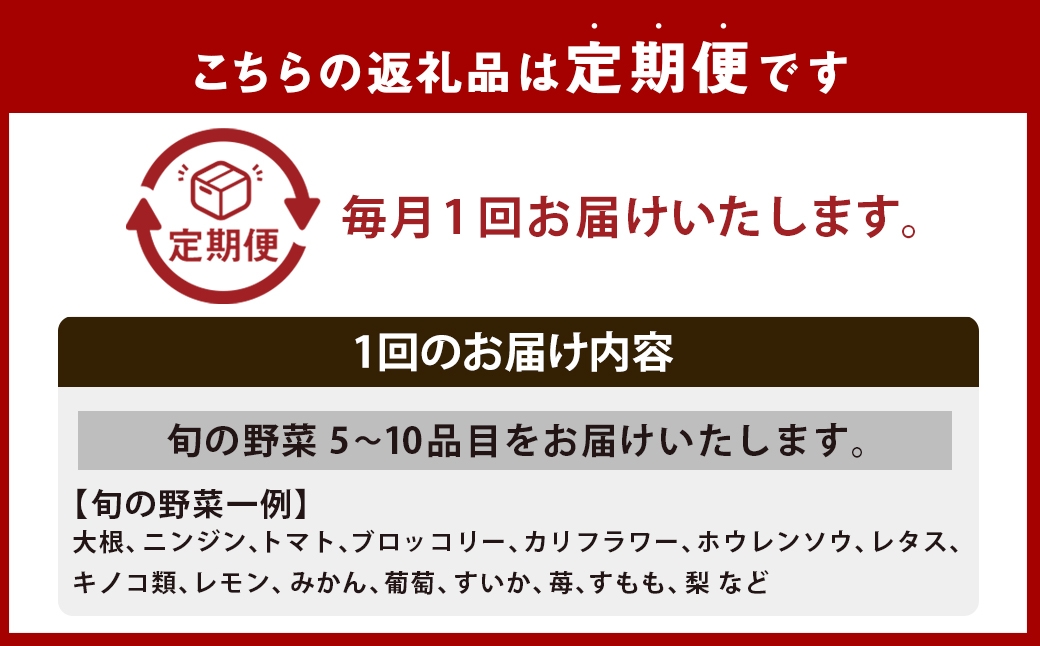 【全12回定期便】 農産物直売所おすすめ！ 旬野菜 セット 5～10品目 