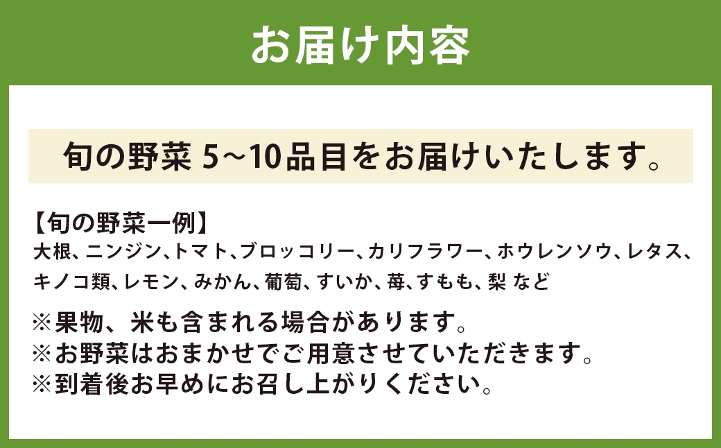 直売所おすすめ！旬野菜セット 5～10品目 ／ やさい 旬 野菜 詰合せ 詰め合わせ 新鮮 産地直送 ふるさと