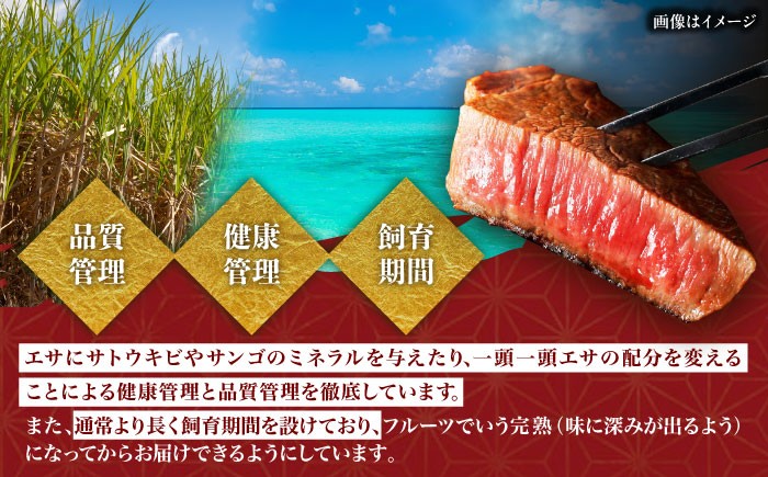 牛肉 切り落とし 切落し 切り落とし きりおとし 切りおとし 切り落し 国産 牛肉 和牛 きりおとし 黒毛和牛 ビーフ beef