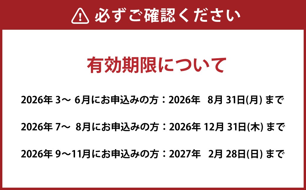 ナガシマ リゾート ナガシマ スパーランド パスポート券  大人4名 【有効期限有り】