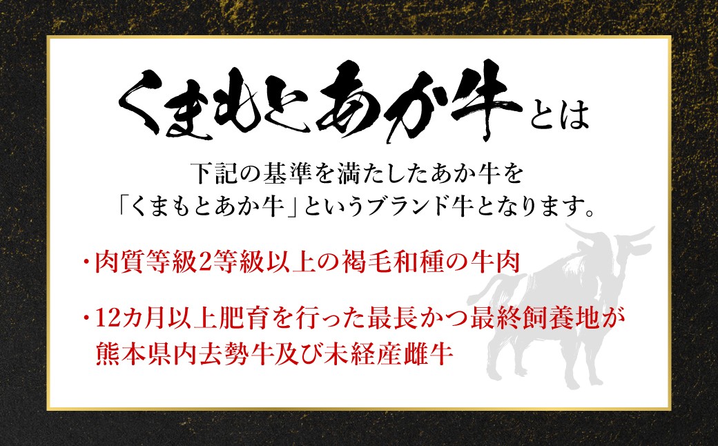 GI認証 くまもとあか牛 ロースステーキ 約500g