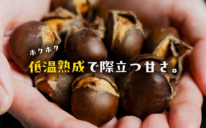 栗 くり クリ 焼き栗 熟成 秋の味覚 秋 詰め合わせ 高知 四万十 和栗カフェ いちじゃもの