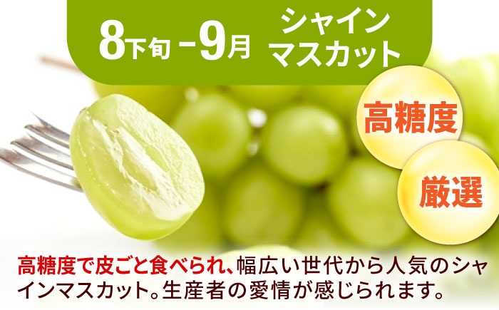 フルーツ 果物 くだもの シャインマスカット 柿 かき キウイ 定期便 旬