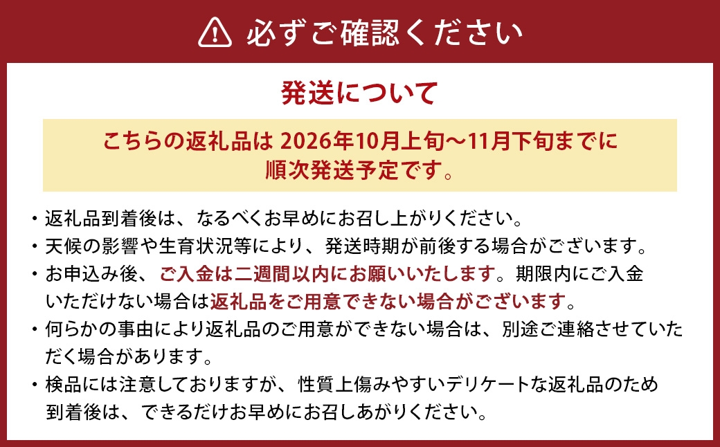 うちとくだもん のこだわりぶどう 4種食べ比べセット