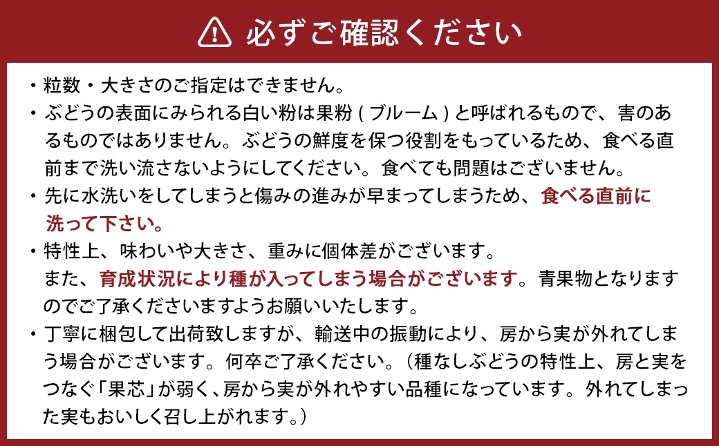 うちとくだもん のこだわりぶどう 4種食べ比べセット