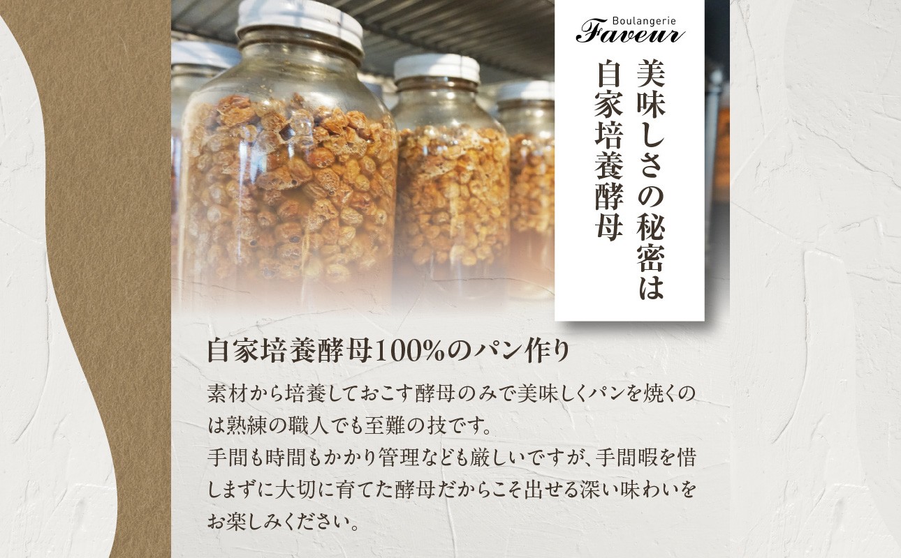 国産小麦＆自家培養酵母100％　酵母ベーグル10個