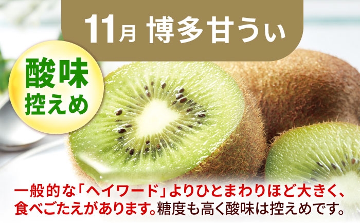 フルーツ 果物 くだもの シャインマスカット 柿 かき キウイ 定期便 旬