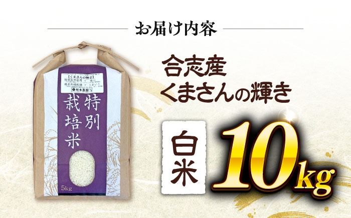 くまさんの輝き 白米 10kg (1袋)  米 お米 白米 お米 10キロ