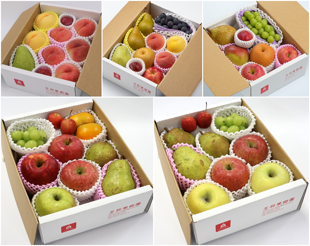 画像は一例です。内容はおまかせとなりますのでご了承ください。