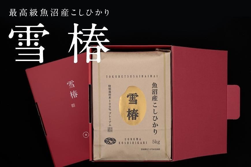 世界の一流シェフが認めた希少なお米、雪椿