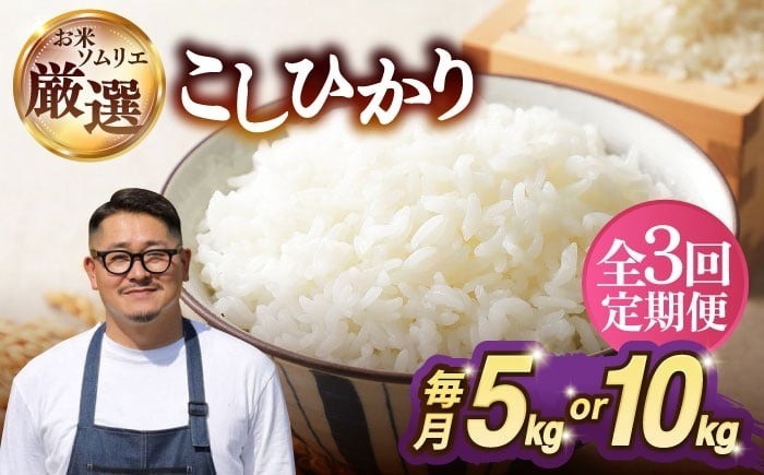 人気 贈り物 ギフト