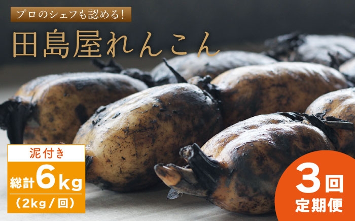 プロのシェフも認める！田島屋のれんこん