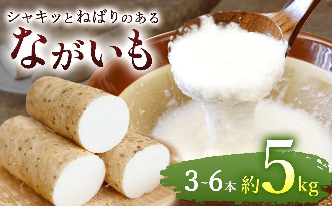シャキッとねばりのあるアルプスながいも
