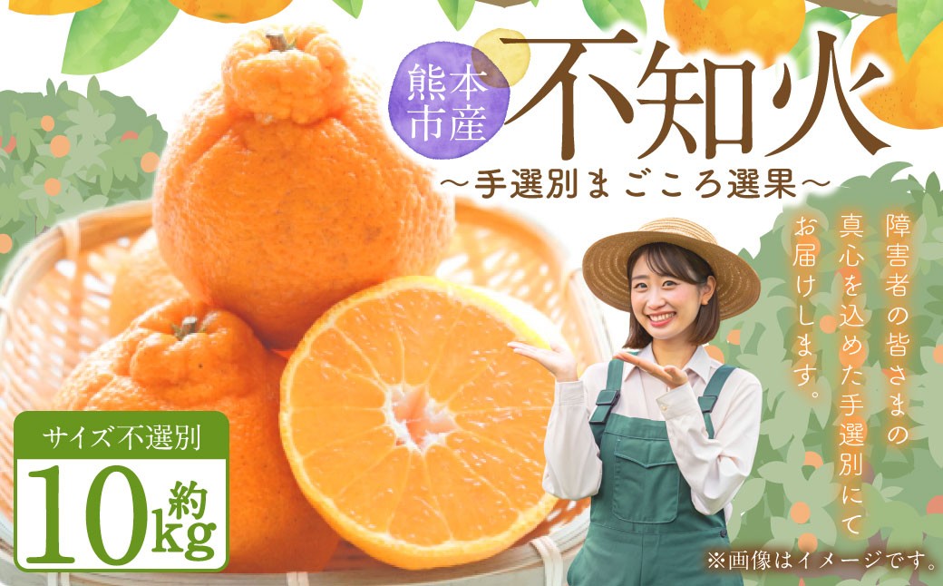 不知火（デコポンと同品種）【手選別まごころ選果】約10kg