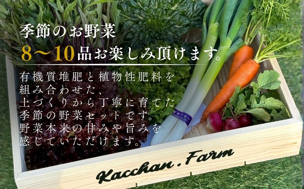 時期によって内容は変わります。