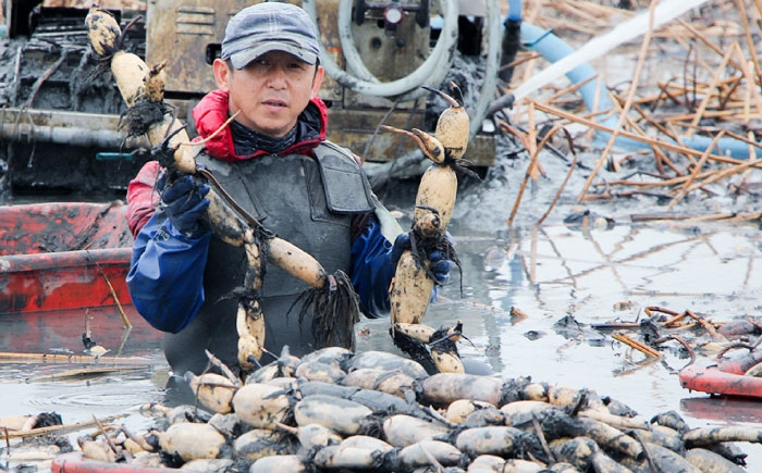 プロのシェフも認める！田島屋のれんこん