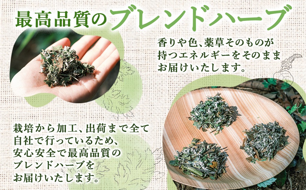 最高級 よもぎ蒸し ブレンドハーブ 3袋 セット (各20g×5パック)  計15パック ／ 薬草 入浴用 バスグッズ