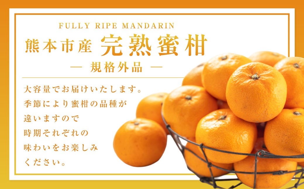【規格外品】熊本市産 完熟 蜜柑 ご家庭用 12kg