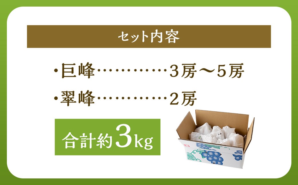 【先行予約】 秦果樹園 巨峰 ・ 翠峰 詰め合わせ 約3kg （巨峰 3から5房・翠峰 2房）