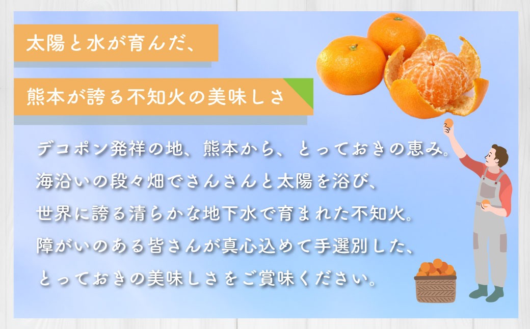 不知火（デコポンと同品種）【手選別まごころ選果】約5kg