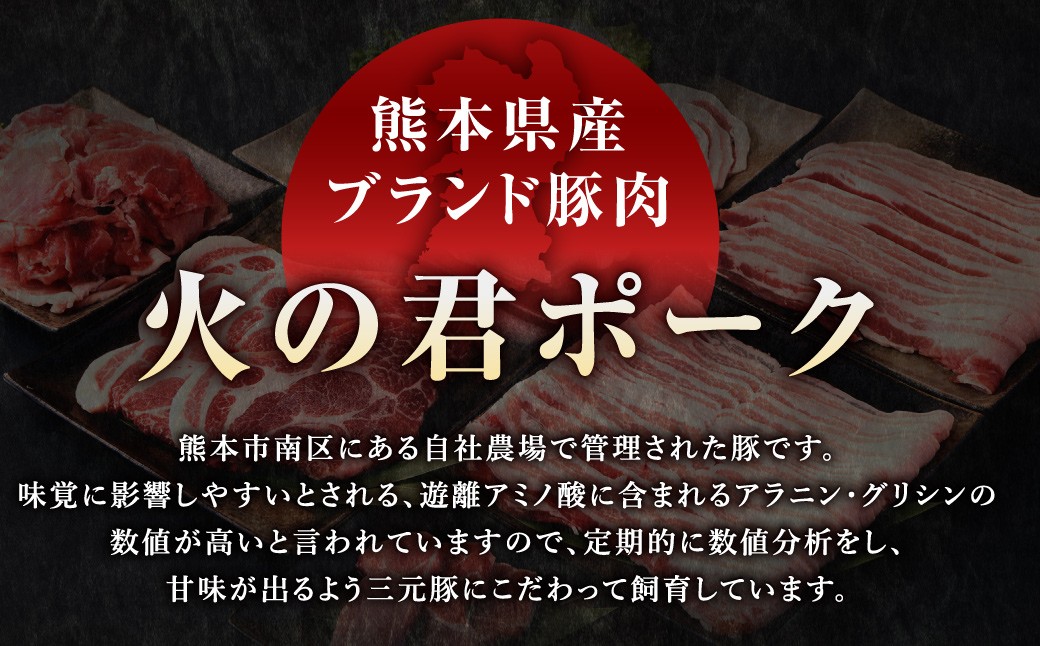 熊本県産 火の君ポーク 詰合せ