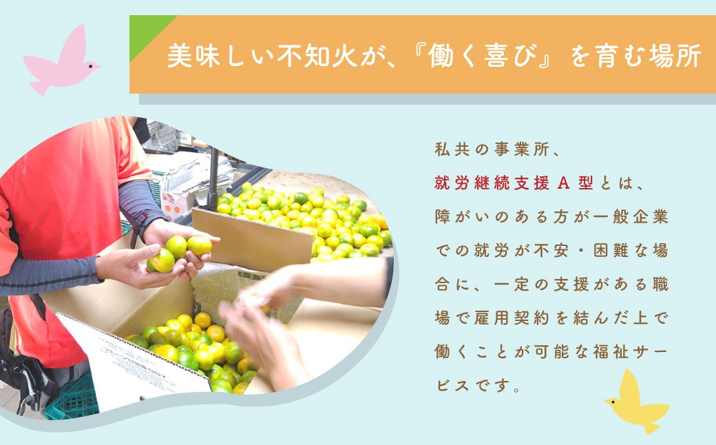 不知火（デコポンと同品種）【手選別まごころ選果】約2kg